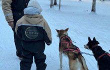 Lapland Royal Adventures5