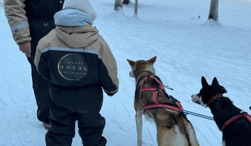 A picture of 2 Day Tour Husky Ride, Snowmobilling, Northern Lights and Ranua Zoo