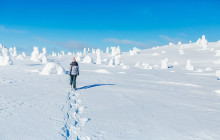 Lapland Royal Adventures1