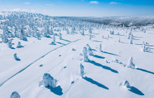 Lapland Royal Adventures2