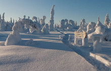 Lapland Royal Adventures3