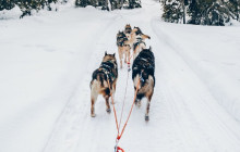 Lapland Royal Adventures1