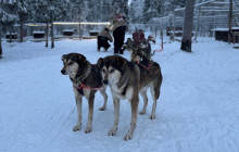 Lapland Royal Adventures6