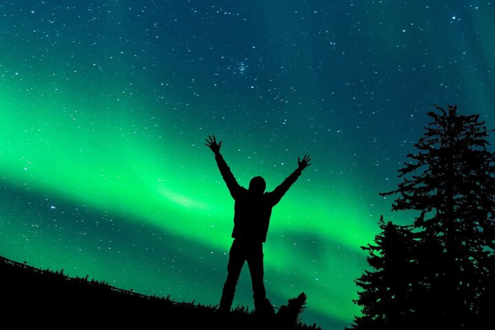 Northern Lights Trip: No Kilometers or Time Limit