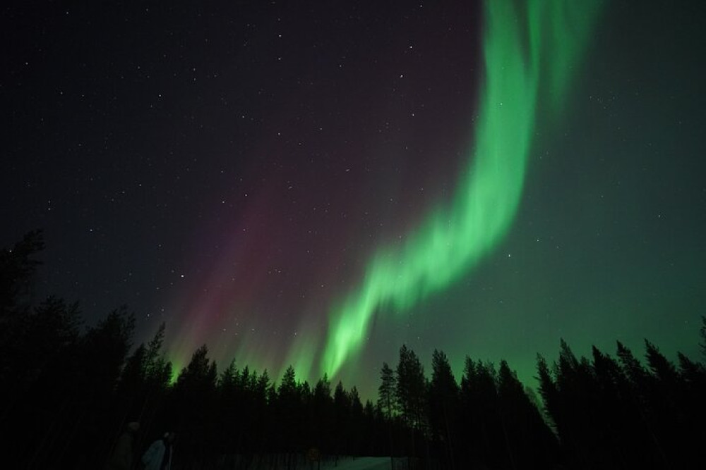 Evening Aurora Borealis Minibus Chase with Hot Drinks