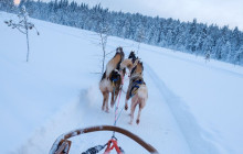 Lapland Royal Adventures17