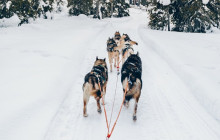 Lapland Royal Adventures3