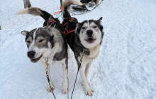 Lapland Royal Adventures4