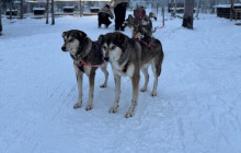 Lapland Royal Adventures5