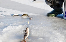 Lapland Royal Adventures2