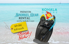 Kohala Divers57
