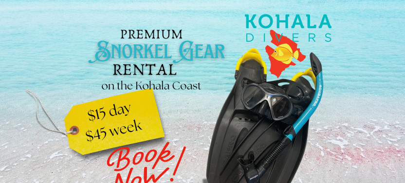 Premium Snorkel Gear - Seven Day Rental