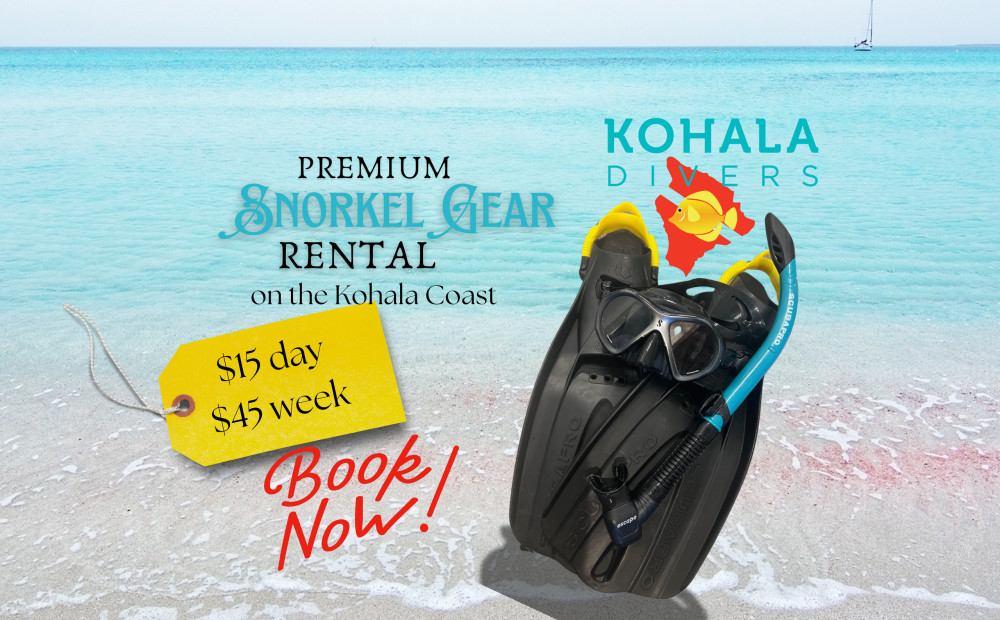 Premium Snorkel Gear - Seven Day Rental