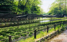 Machinovate Japan Ltd6