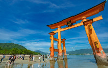Machinovate Japan Ltd4