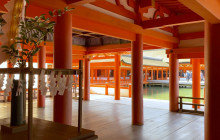 Machinovate Japan Ltd4