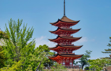 Machinovate Japan Ltd9