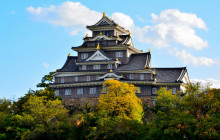 Machinovate Japan Ltd1