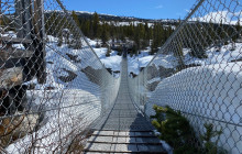 Alaska Snowbird Tours LLC2