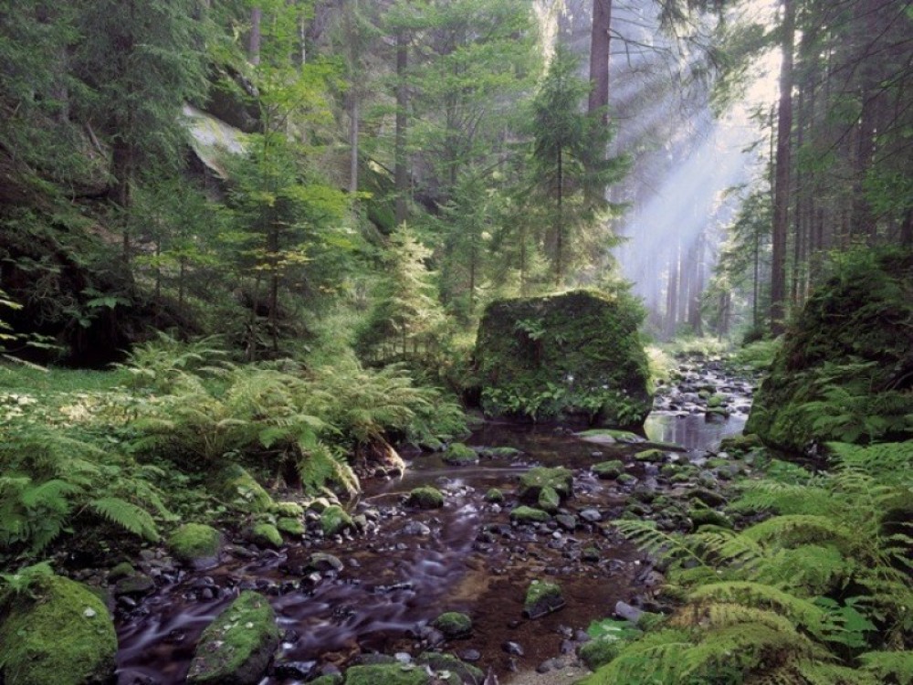 Bohemian Switzerland National Park