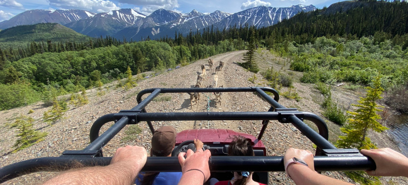 Step into the Yukon and Sled Dog Tour
