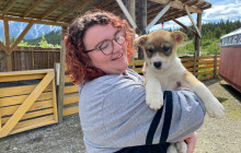 Alaska Snowbird Tours LLC8