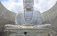 Machinovate Japan Ltd1