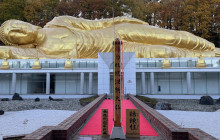 Machinovate Japan Ltd2