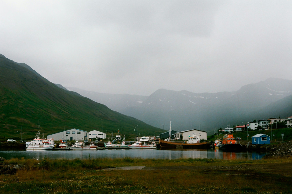 From Ísafjörður Port: Private Ísafjörður Tour
