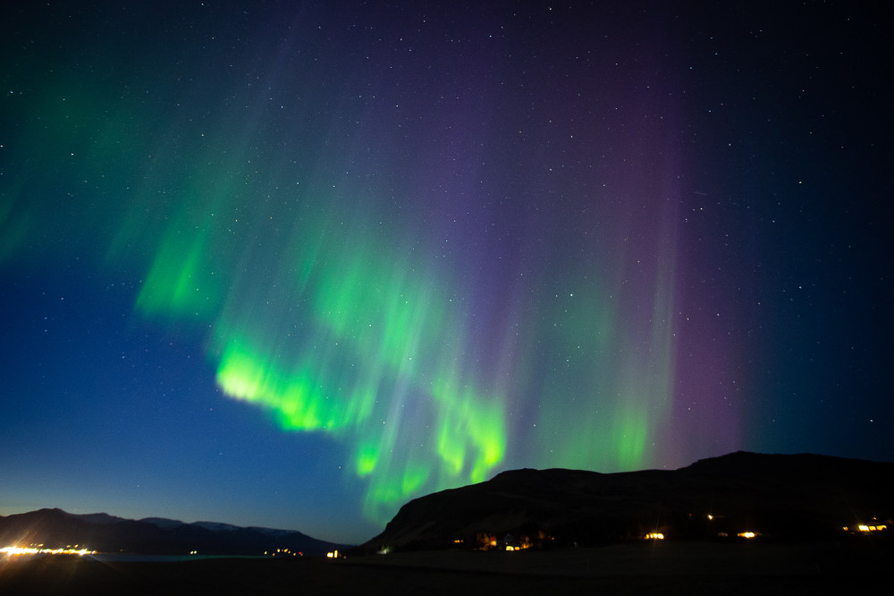 David The Guide