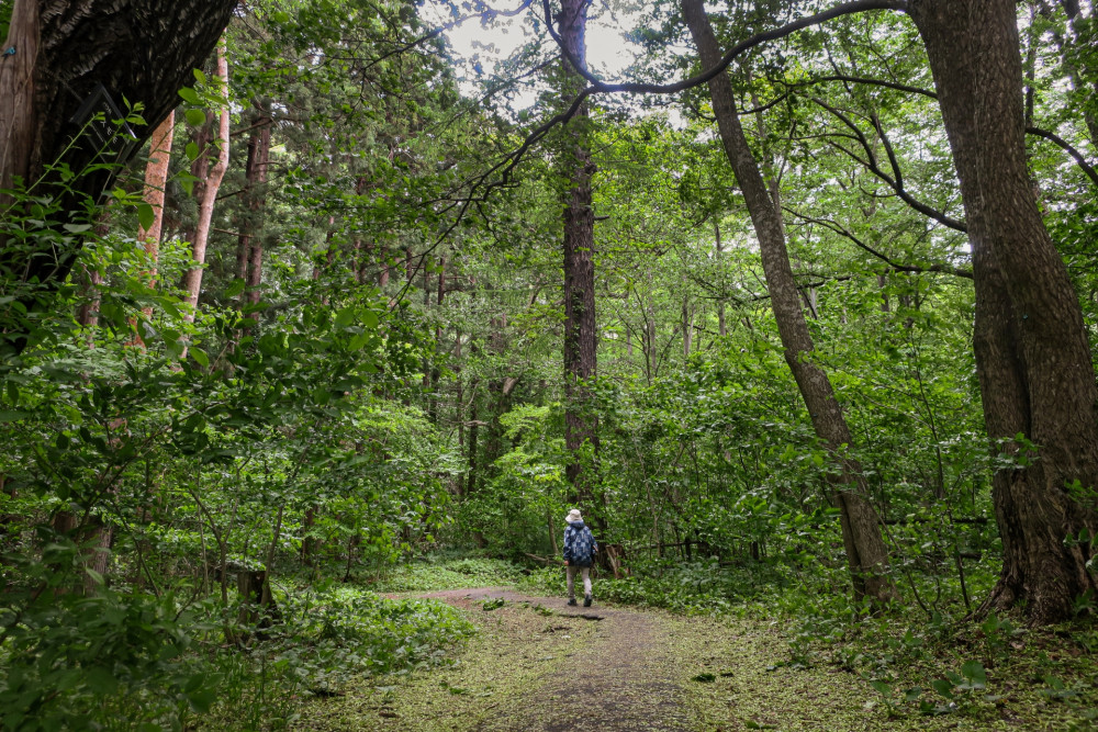 Sapporo Day Hike: Mt. Maruyama and Mt. Okurayama