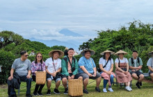 Local Travel Partners4