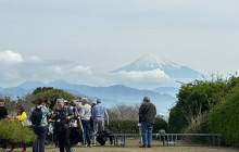 Local Travel Partners5