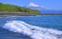 Local Travel Partners6