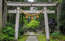 Machinovate Japan Ltd1