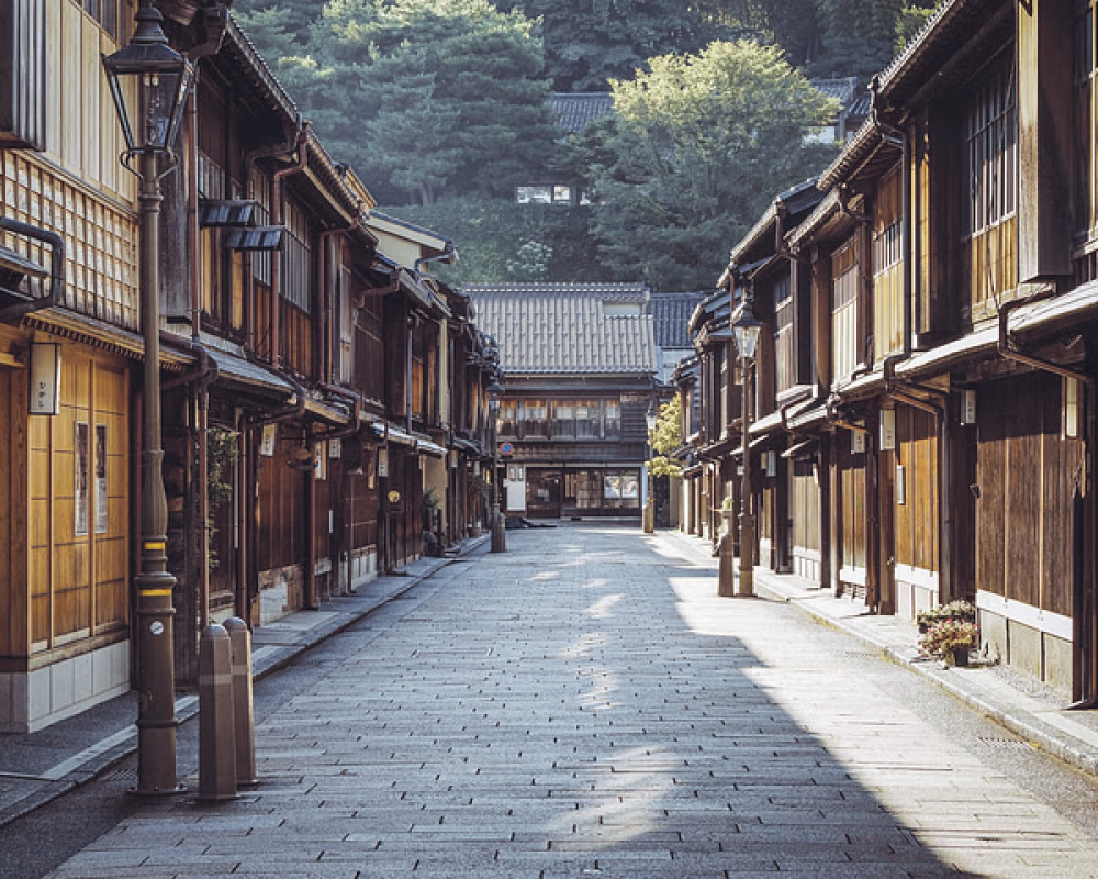 Kanazawa Tour: Geisha District, Daimyo Villa, and Kenrokuen Garden