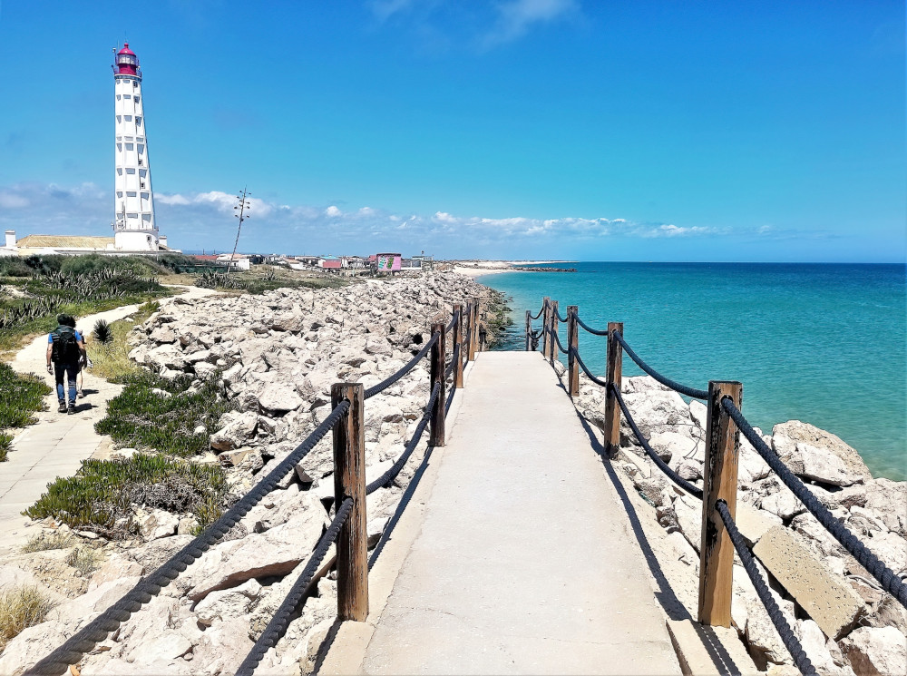 Boat Tour in Ria Formosa - Half Day