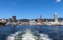 Machinovate Japan Ltd8