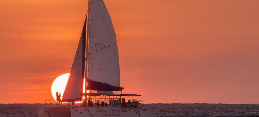 Blue Dolphin - Public Catamaran Tour