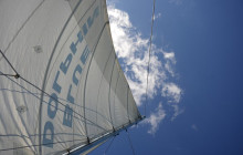 Blue Dolphin Sailing17