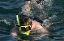 Blue Dolphin Sailing19