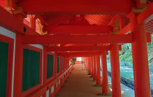 Machinovate Japan Ltd3