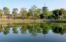 Machinovate Japan Ltd6