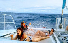 Blue Dolphin Sailing1
