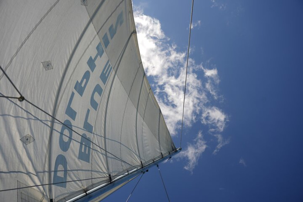 Blue Dolphin Sailing