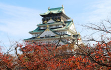 Machinovate Japan Ltd2