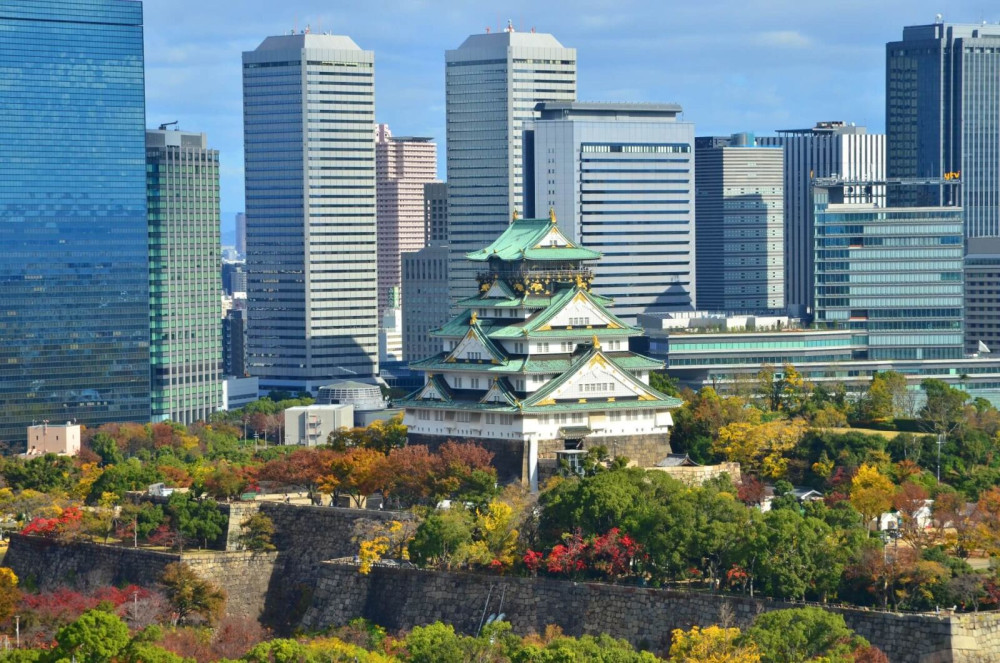 Osaka 1-Day Tour: Castle, Temples & City History