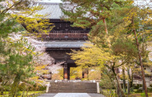 Machinovate Japan Ltd2