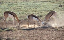 Polentswa Camping Wilderness Trail Botswana