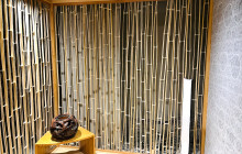 Machinovate Japan Ltd6